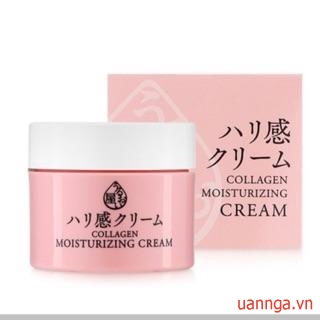 Kem Dưỡng Da Ngăn Ngừa Lão Hóa Naris Uruoi-Ya Collagen Moisturizing Cream