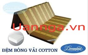 Đệm bông ép Dreamland vải Cotton 200*220*9F